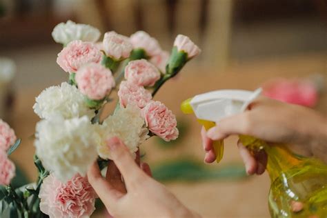 How to Clean Fake Flowers from Dust: A Comprehensive Guide and the Art of Preserving Beauty