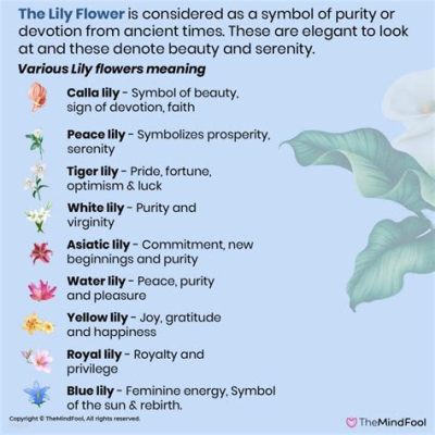 What Does White Flowers Mean: A Symbolic Journey Through Purity and Mystery